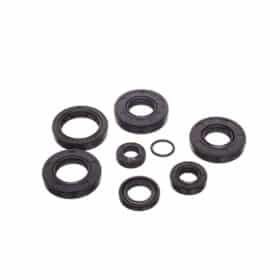 Stefasarja Minarelli AM6