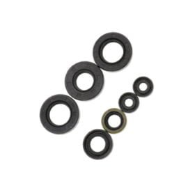 Stefasarja Derbi D50B0